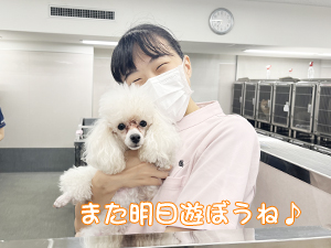 ドッグパークルームの生徒とモデル犬♪